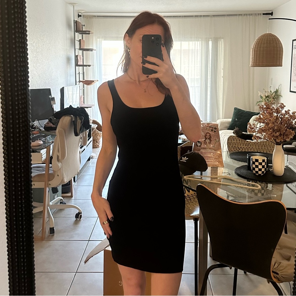 Aritzia Babaton bodycon mini dress